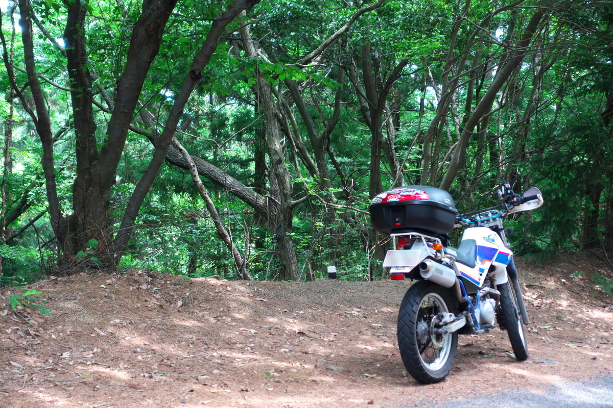 f:id:gan_jiro:20200530110027j:plain