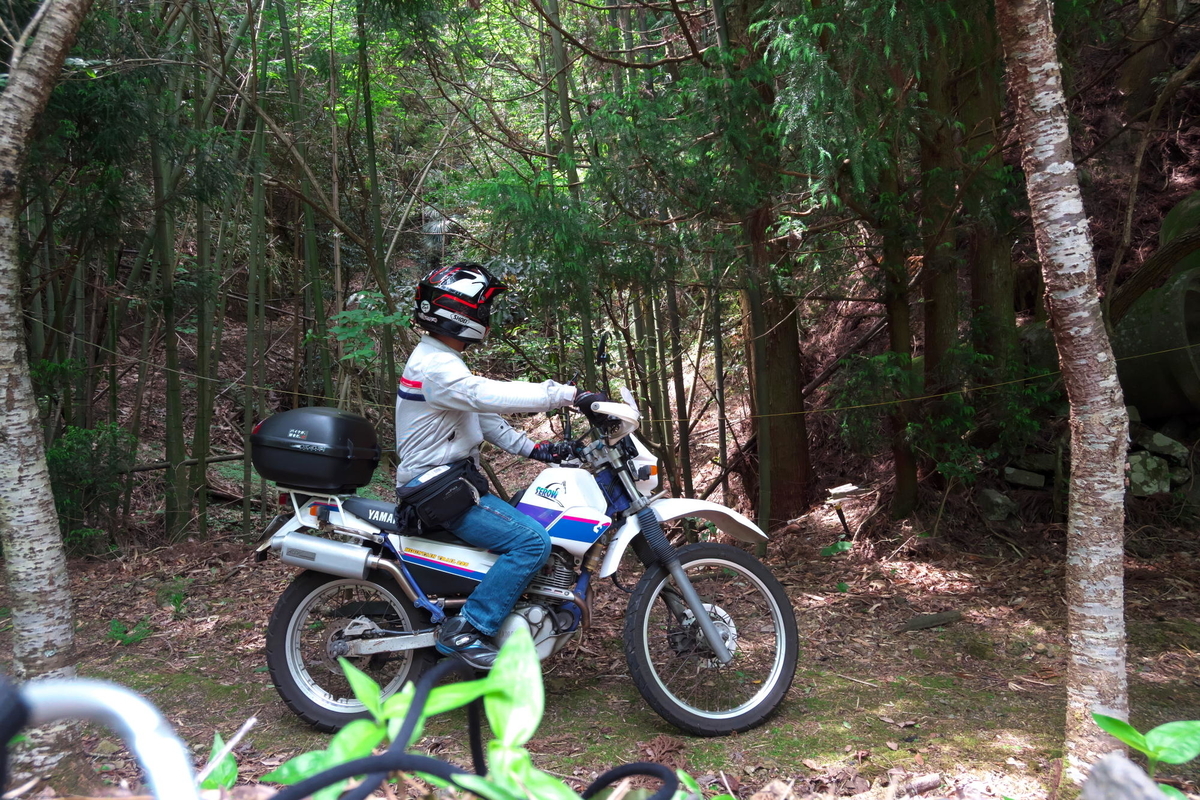 f:id:gan_jiro:20200530110852j:plain