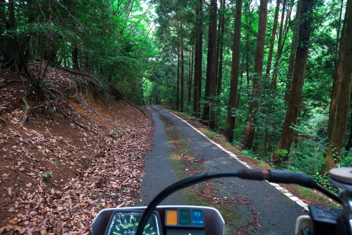 f:id:gan_jiro:20200705141840j:plain f:id:gan_jiro:20200705141840j:plain