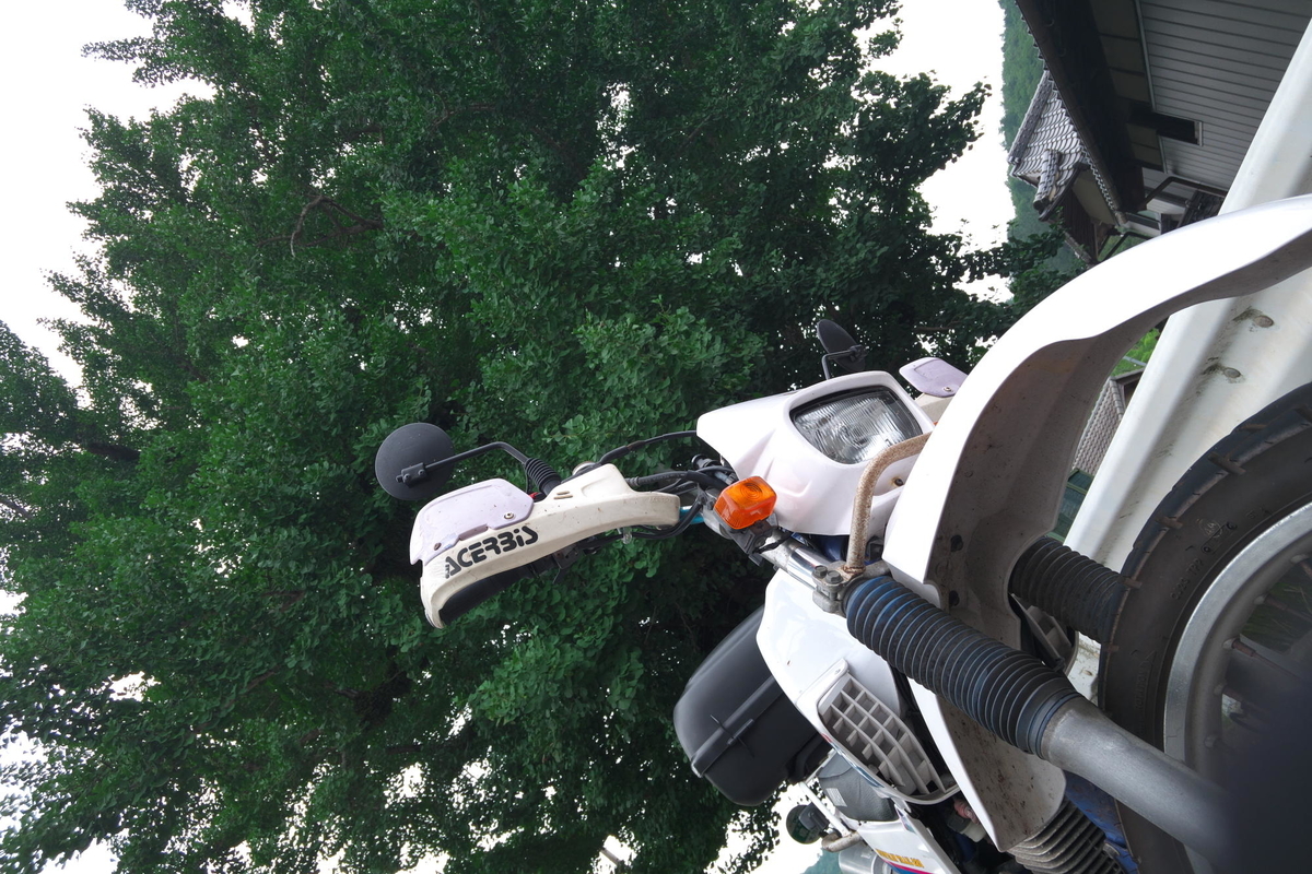 f:id:gan_jiro:20200705143347j:plain f:id:gan_jiro:20200705143347j:plain