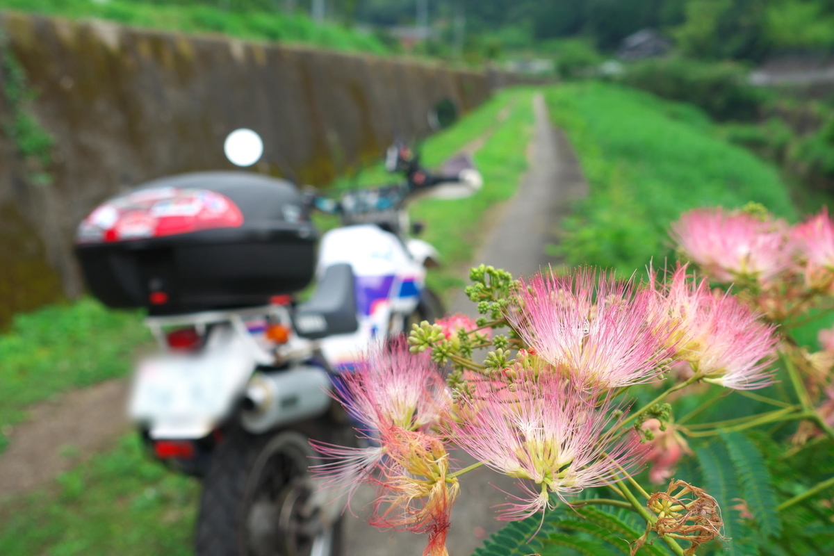 f:id:gan_jiro:20200705153348j:plain f:id:gan_jiro:20200705153348j:plain