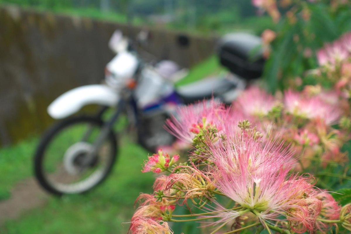 f:id:gan_jiro:20200705153842j:plain f:id:gan_jiro:20200705153842j:plain