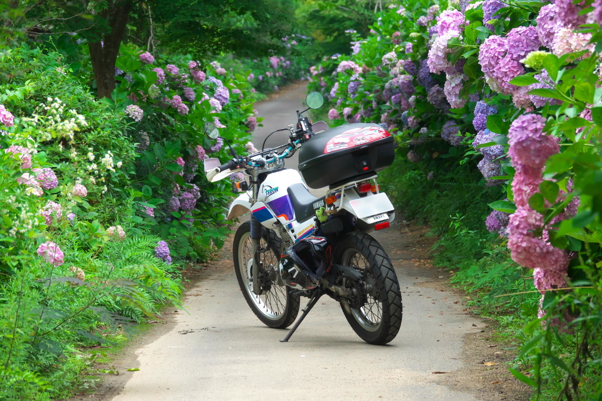 f:id:gan_jiro:20200705154318j:plain f:id:gan_jiro:20200705154318j:plain