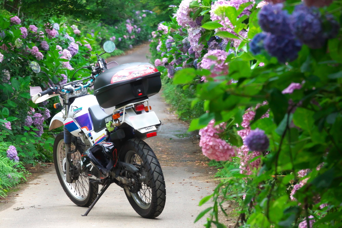 f:id:gan_jiro:20200705154542j:plain f:id:gan_jiro:20200705154542j:plain