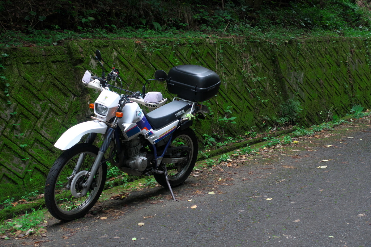 f:id:gan_jiro:20200723090402j:plain f:id:gan_jiro:20200723090402j:plain