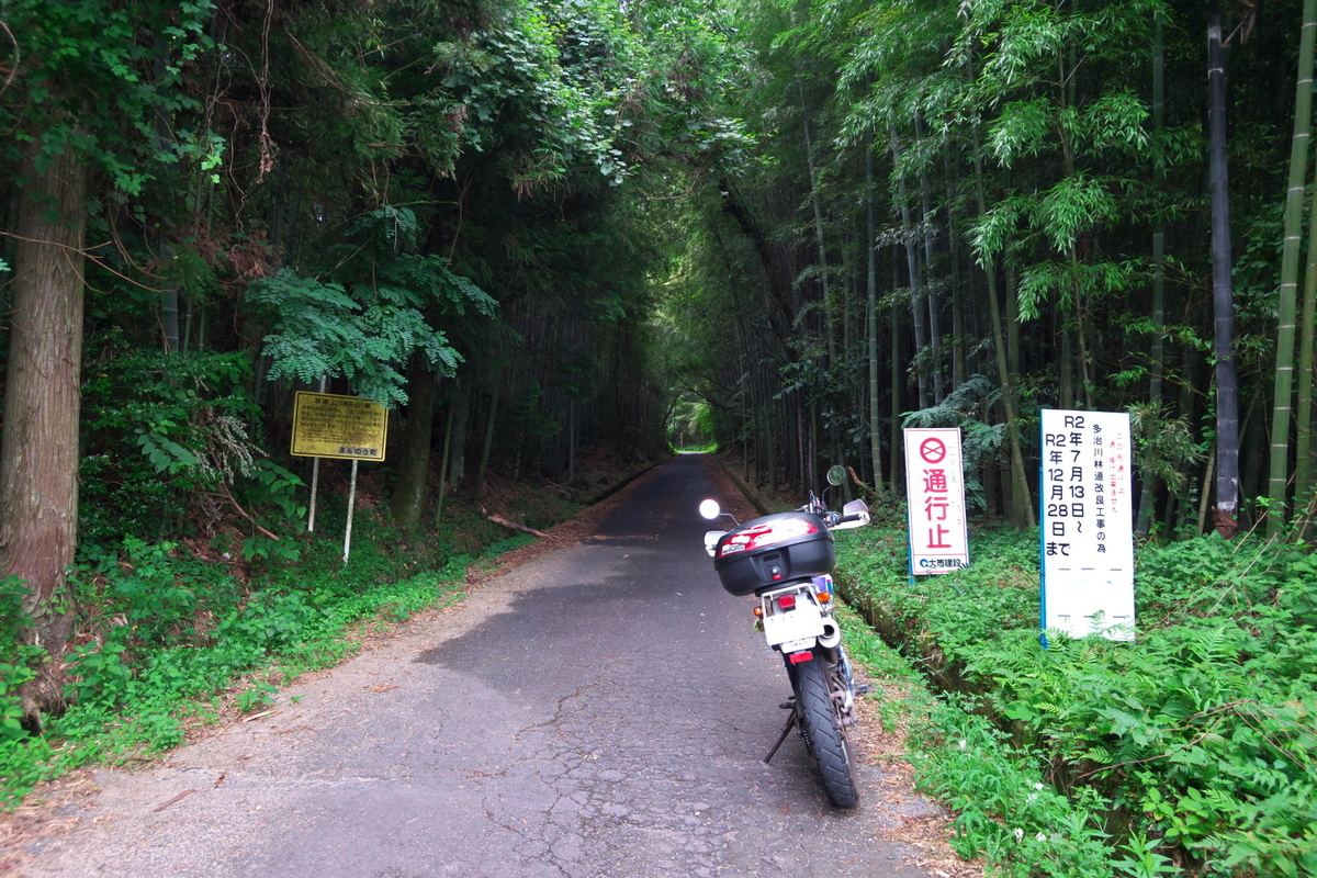 f:id:gan_jiro:20200723090704j:plain f:id:gan_jiro:20200723090704j:plain