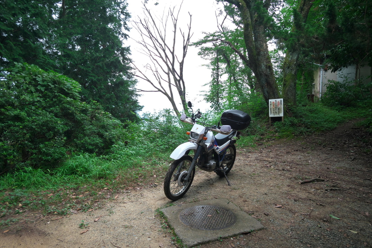 f:id:gan_jiro:20200723091724j:plain f:id:gan_jiro:20200723091724j:plain
