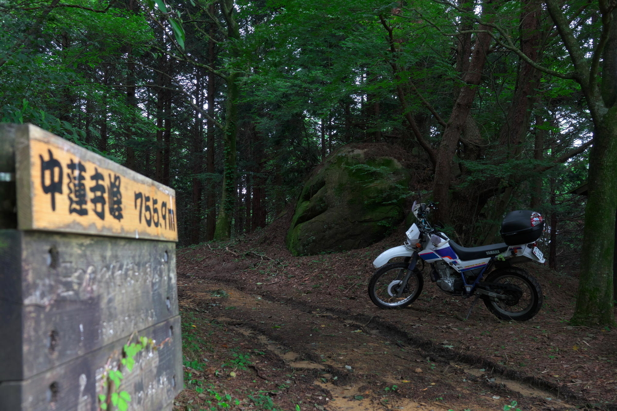 f:id:gan_jiro:20200723104139j:plain f:id:gan_jiro:20200723104139j:plain