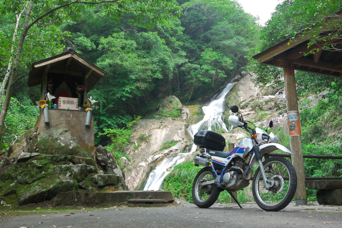 f:id:gan_jiro:20200808094950j:plain f:id:gan_jiro:20200808094950j:plain