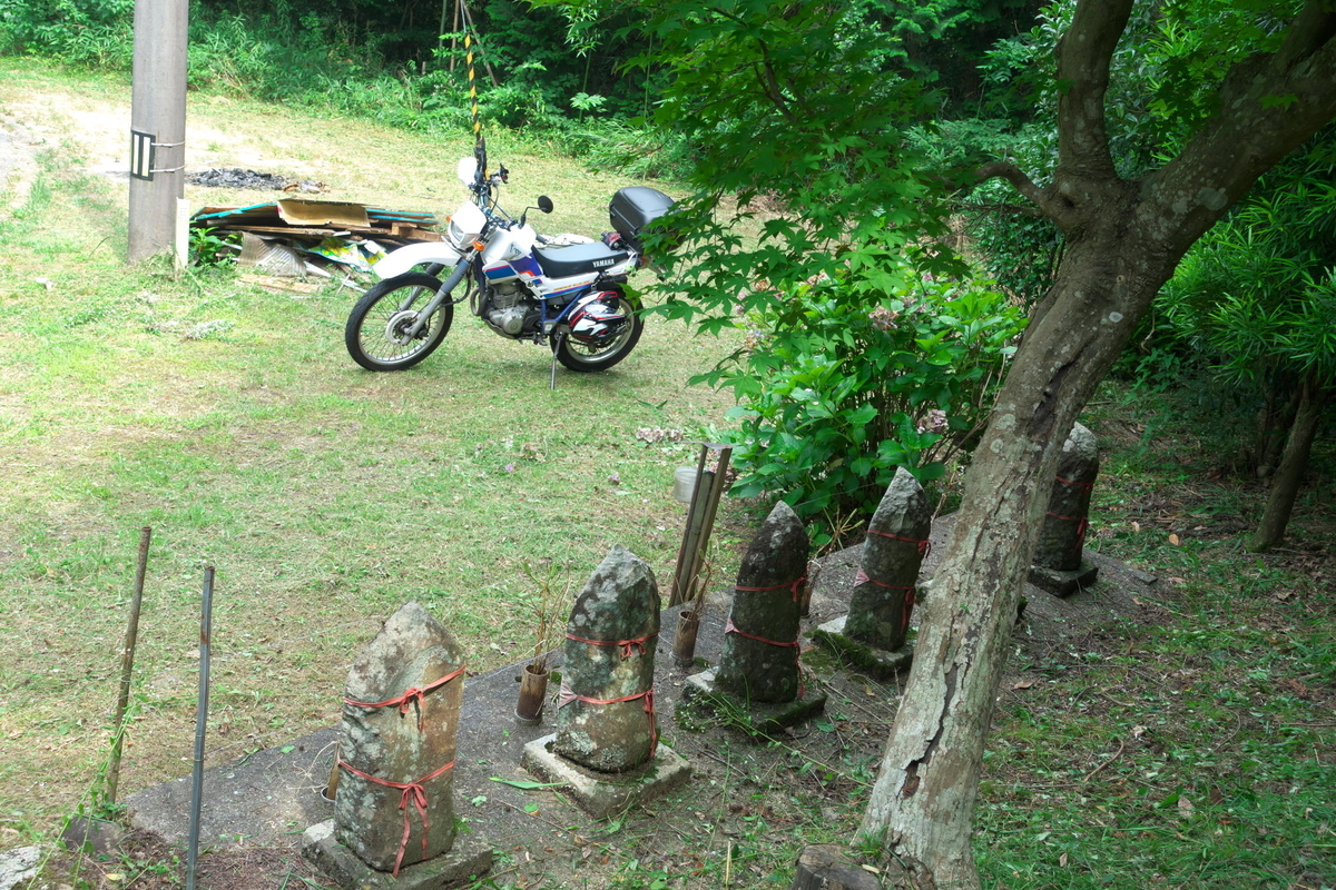 f:id:gan_jiro:20200808101238j:plain f:id:gan_jiro:20200808101238j:plain