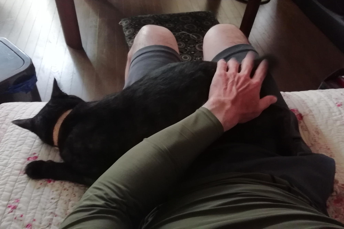 f:id:gan_jiro:20200820121955j:plain