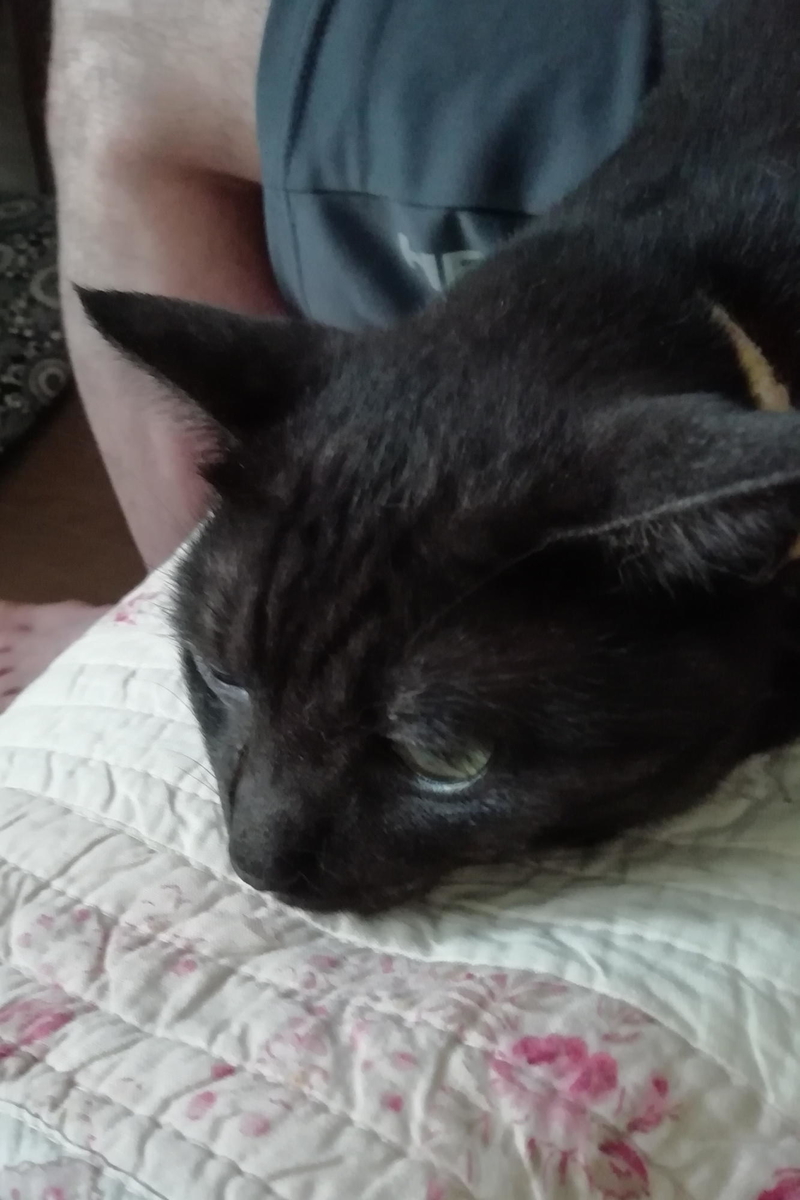 f:id:gan_jiro:20200820122038j:plain