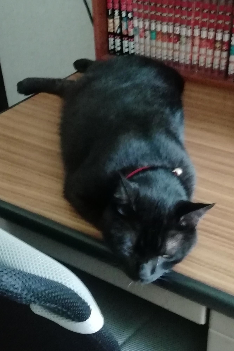 f:id:gan_jiro:20200822080855j:plain