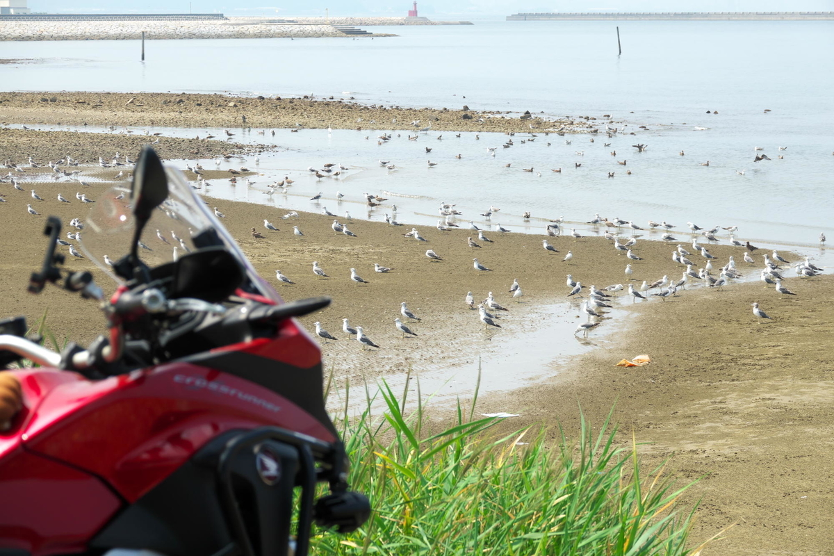 f:id:gan_jiro:20200822104639j:plain