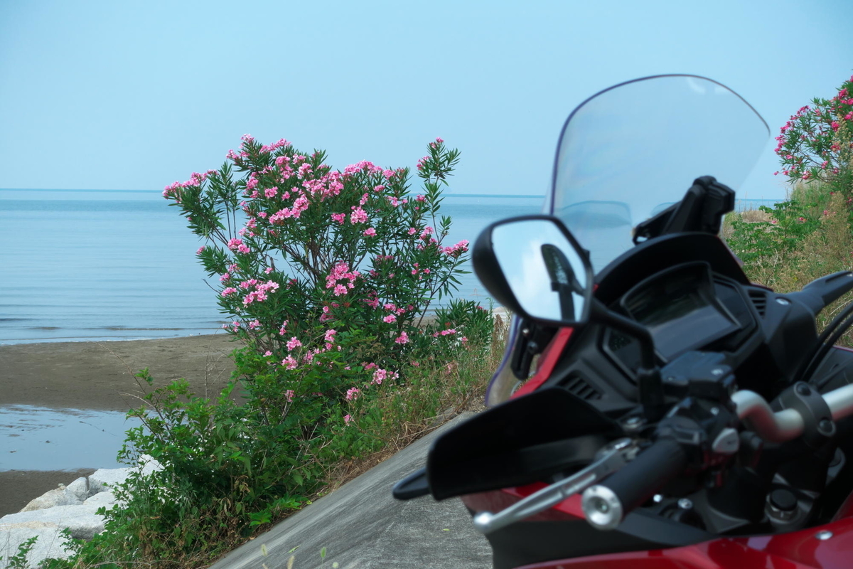 f:id:gan_jiro:20200822105915j:plain