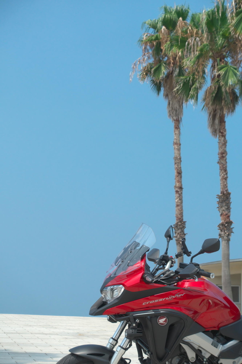 f:id:gan_jiro:20200822110637j:plain