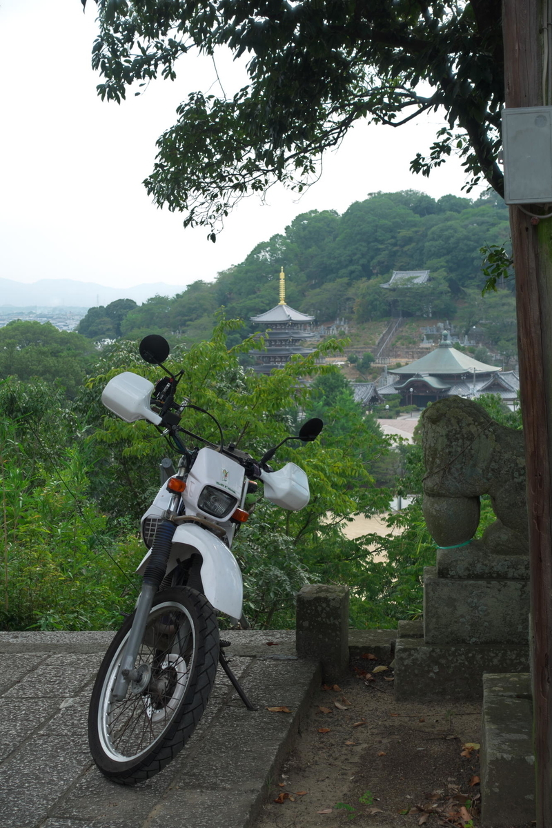 f:id:gan_jiro:20200822154029j:plain