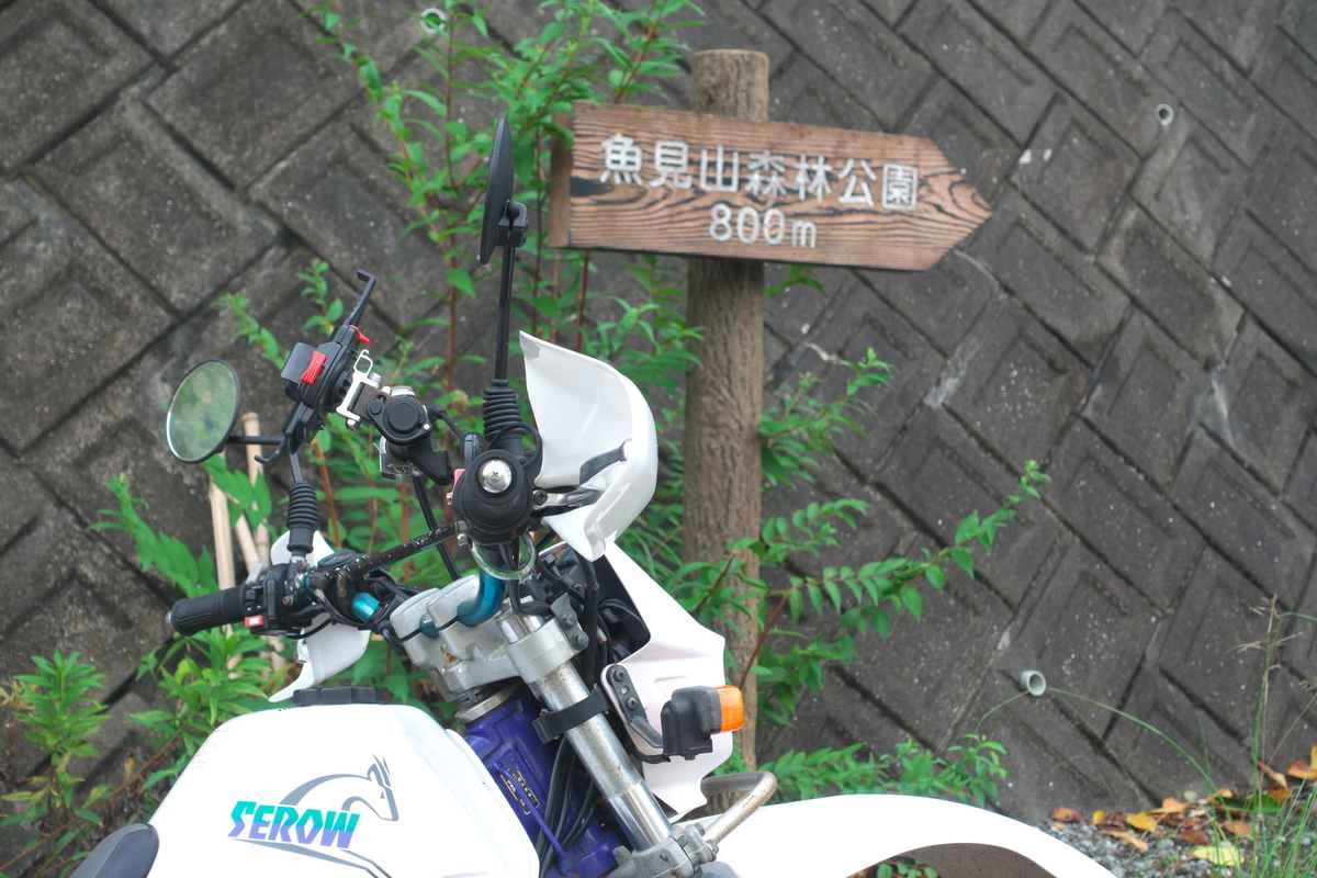 f:id:gan_jiro:20200905092736j:plain f:id:gan_jiro:20200905092736j:plain