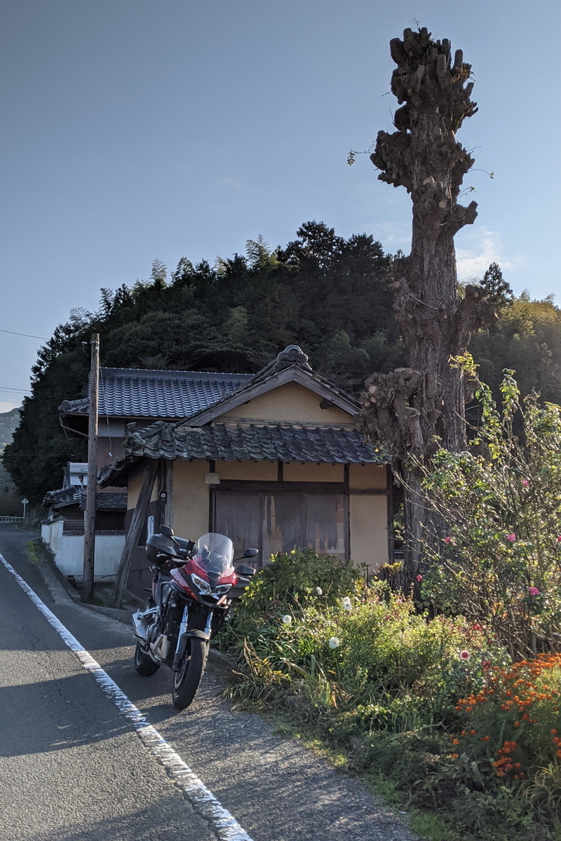 紅葉求めて別子ラインツーリング 嬉しい出会いも W 蒼天快走記 Pleasantly Riding Records Under The Blue Sky 紅葉求めて別子ラインツーリング 嬉しい出会いも W 蒼天快走記 Pleasantly Riding Records Under The Blue Sky
