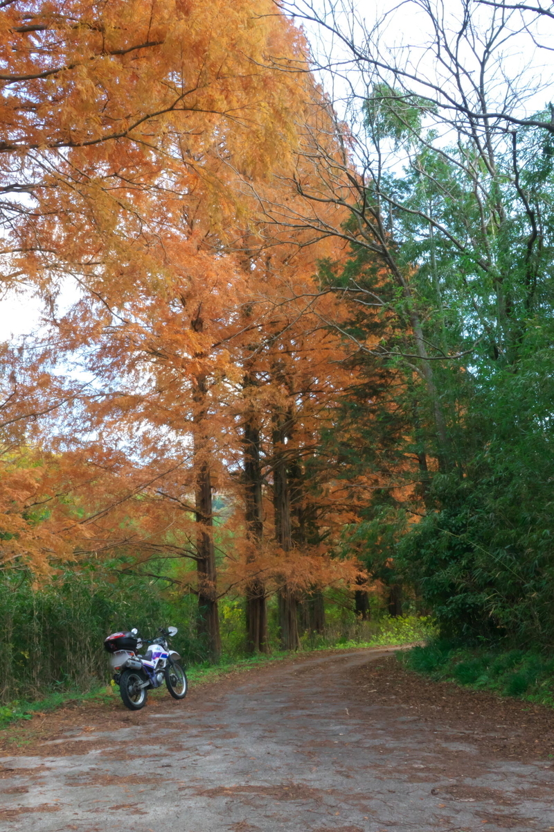 f:id:gan_jiro:20201205112831j:plain