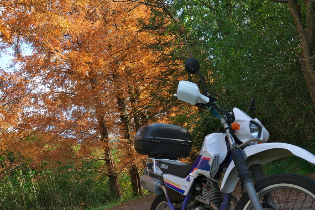 f:id:gan_jiro:20201205113111j:plain