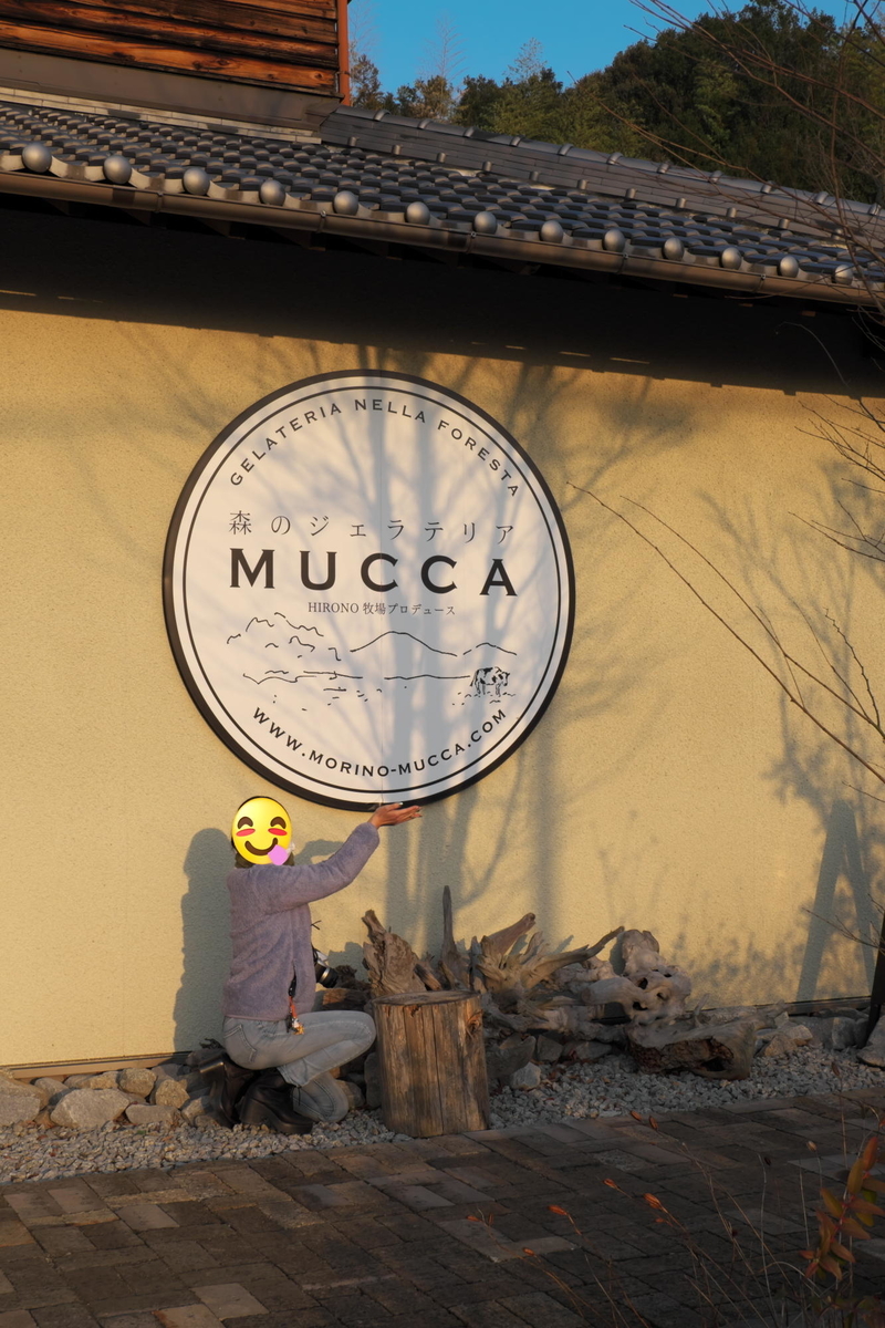 f:id:gan_jiro:20210207174036j:plain