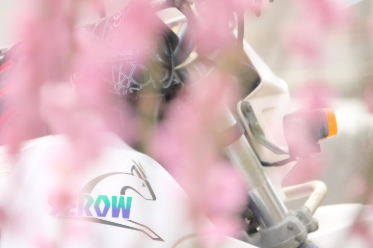 f:id:gan_jiro:20210223095337j:plain