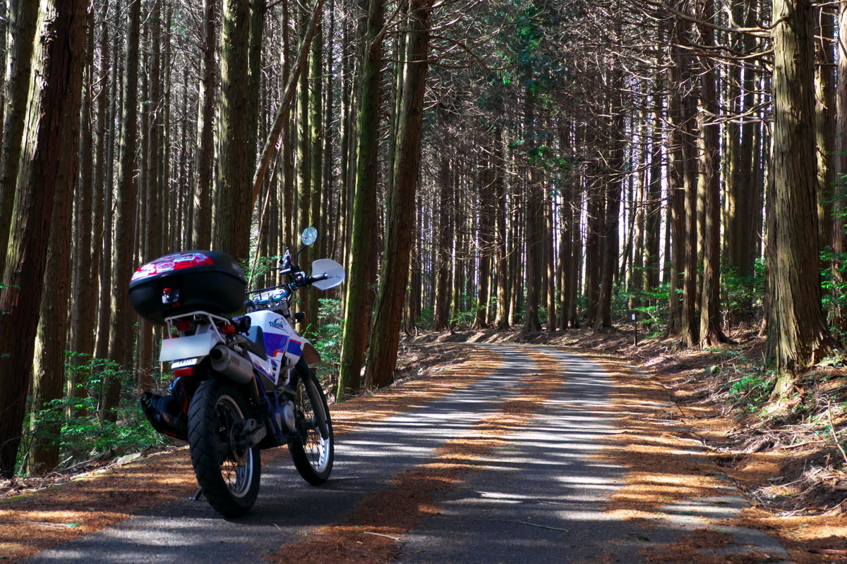 f:id:gan_jiro:20210223113308j:plain