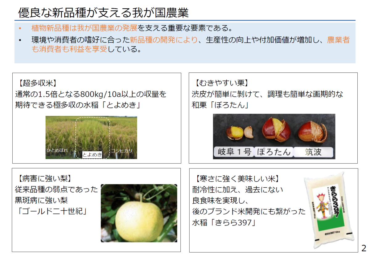 f:id:gan_jiro:20210224200941p:plain