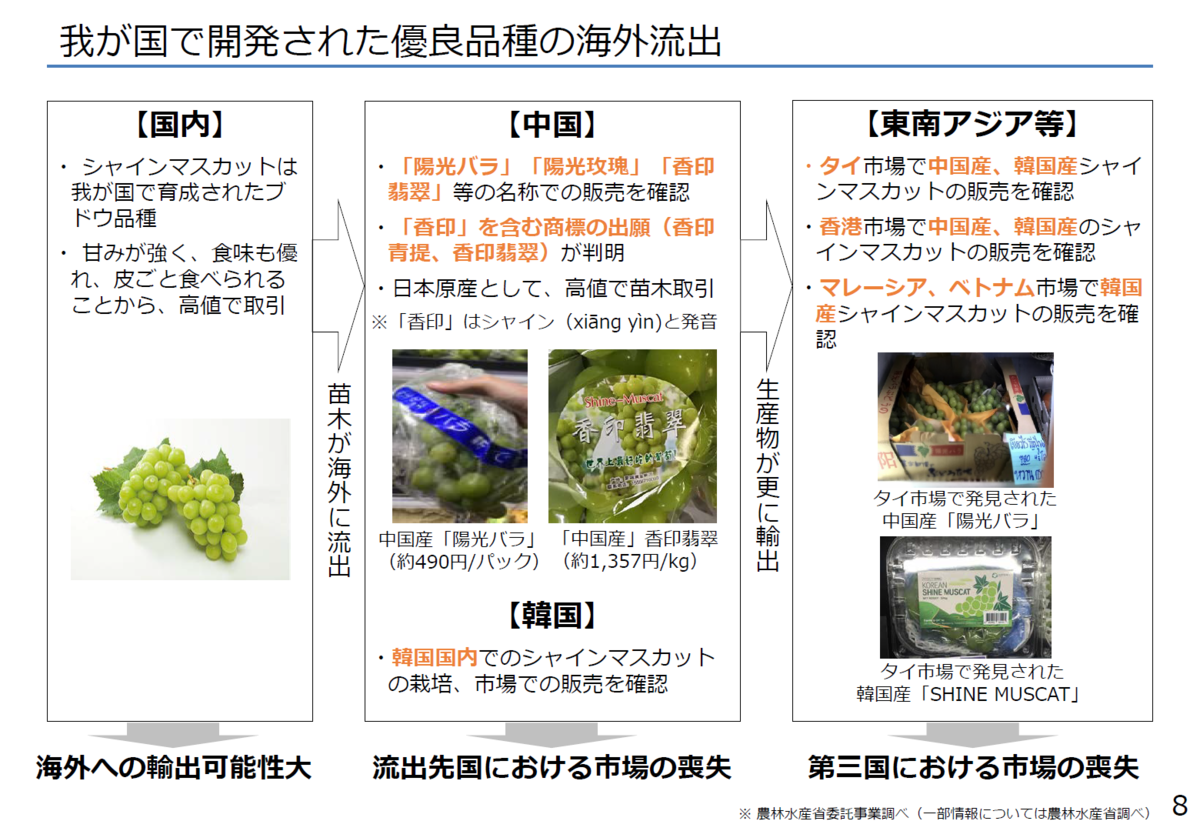 f:id:gan_jiro:20210227171259p:plain