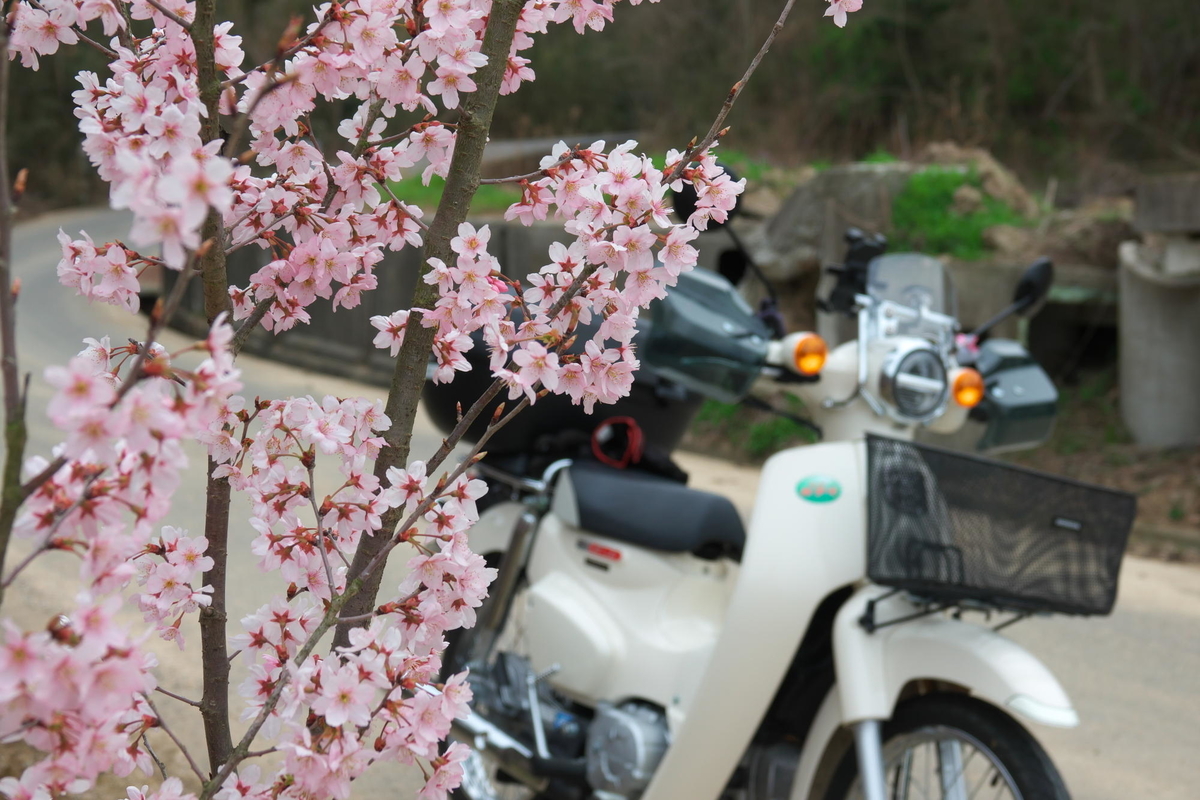 f:id:gan_jiro:20210307160225j:plain