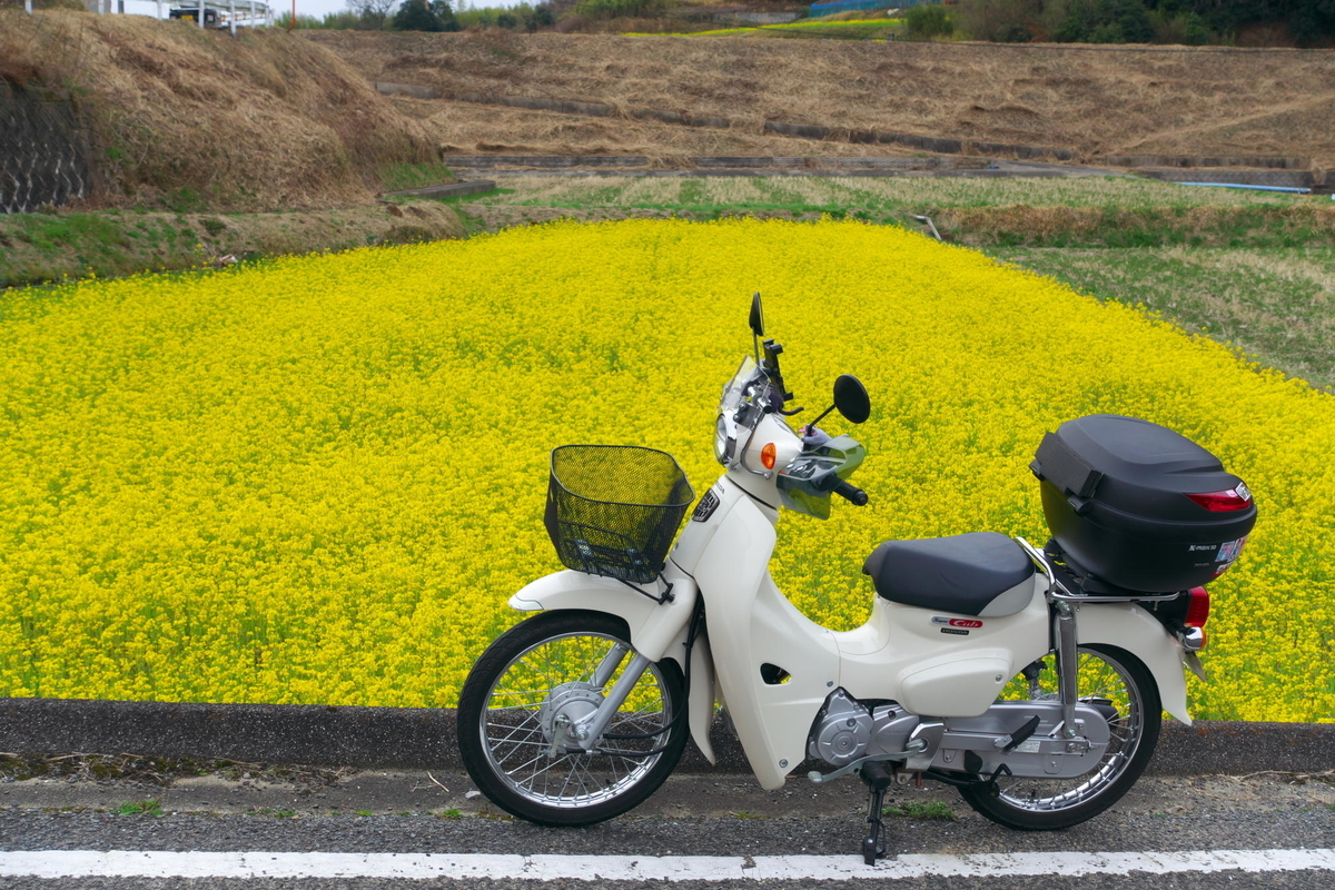 f:id:gan_jiro:20210307163659j:plain