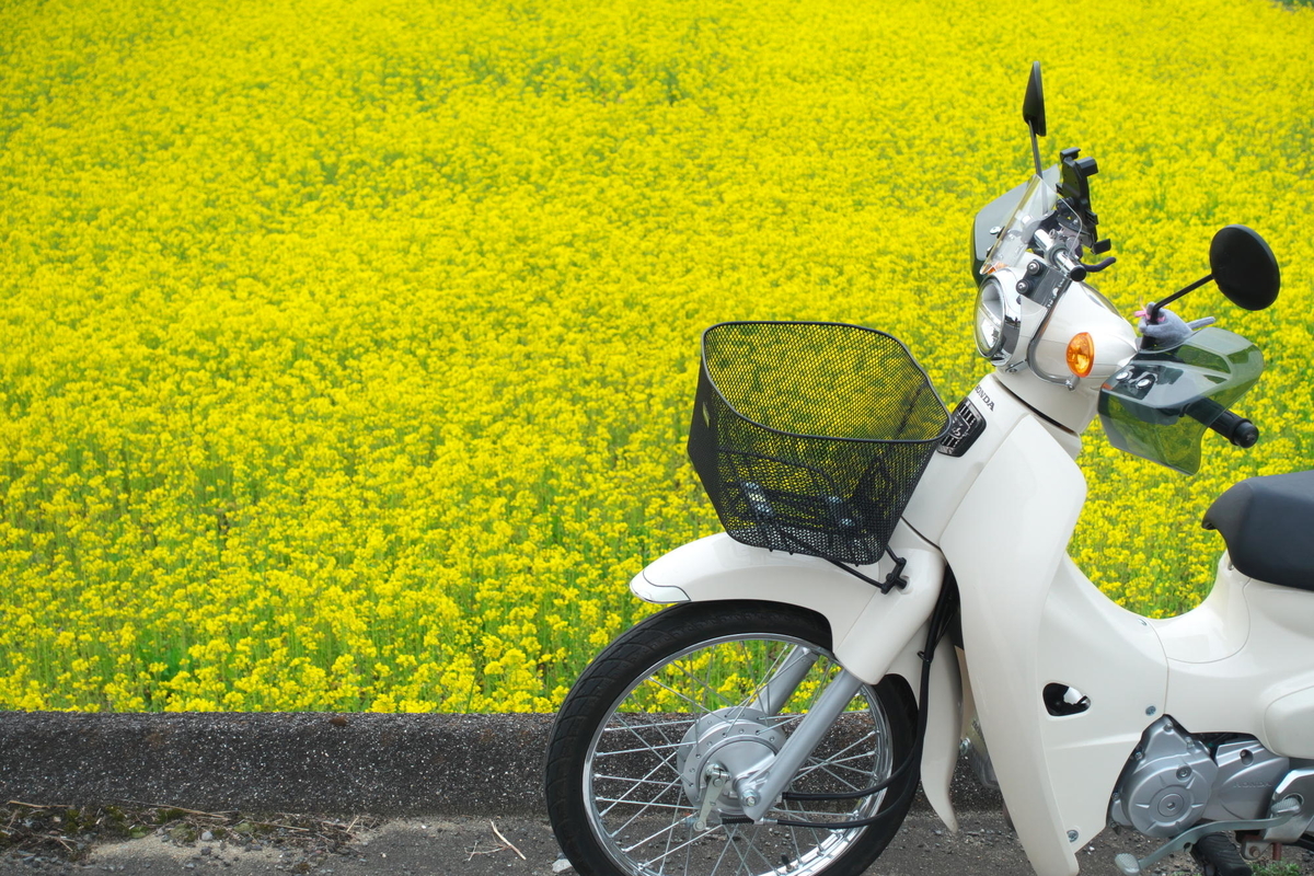 f:id:gan_jiro:20210307163714j:plain