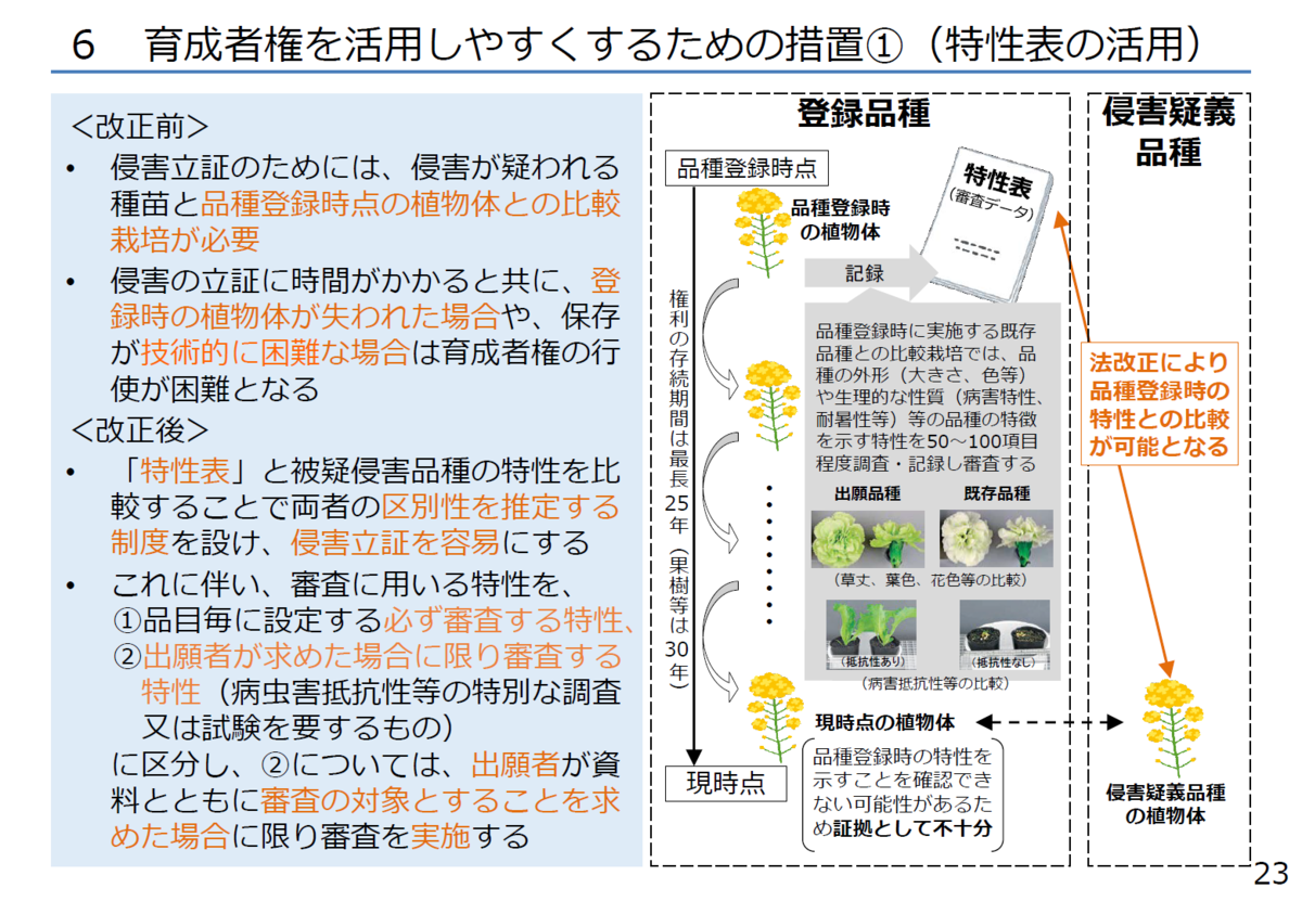 f:id:gan_jiro:20210311223311p:plain