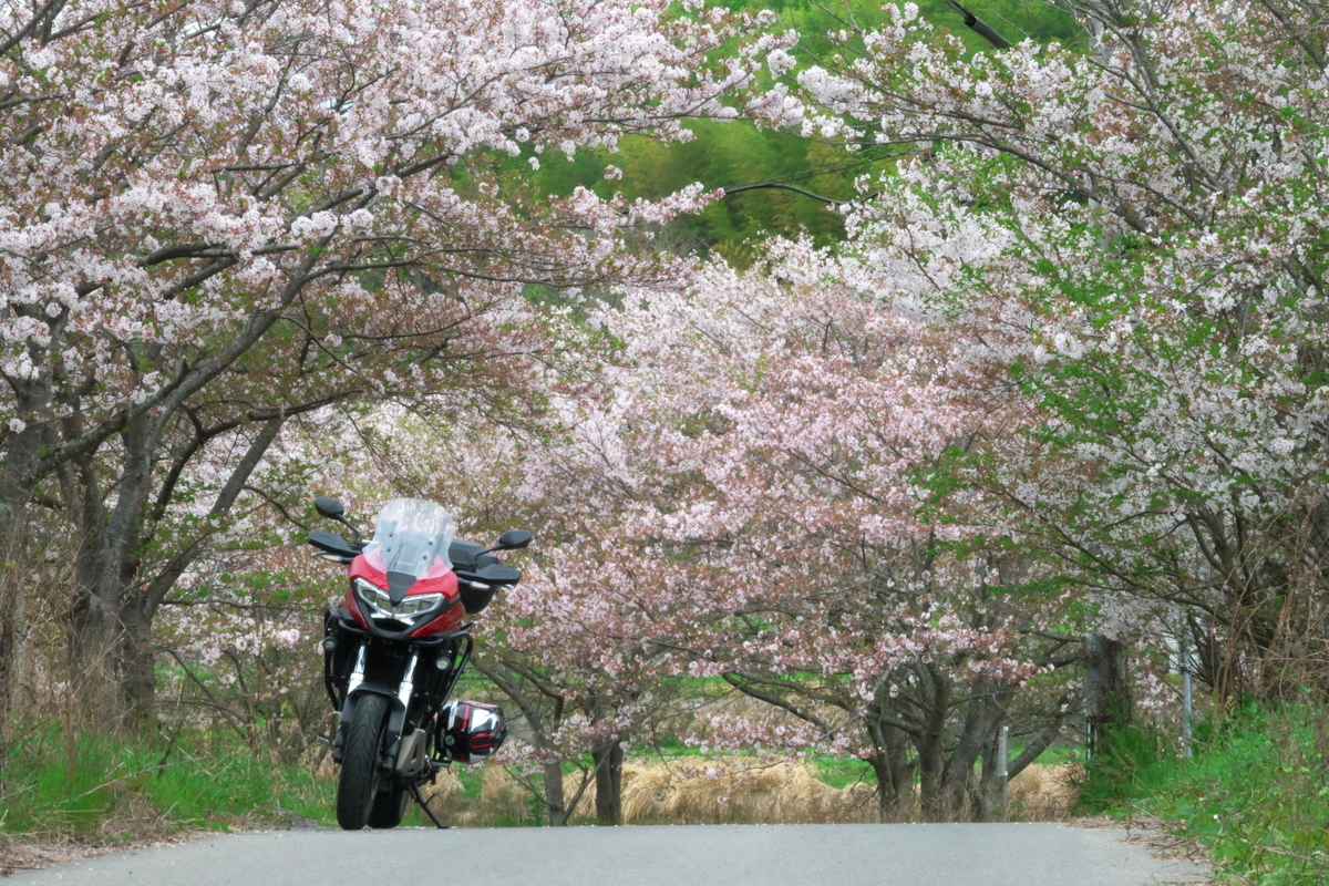 f:id:gan_jiro:20210404082633j:plain