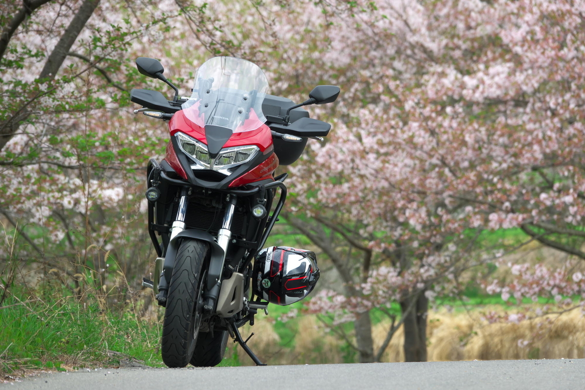 f:id:gan_jiro:20210404082705j:plain