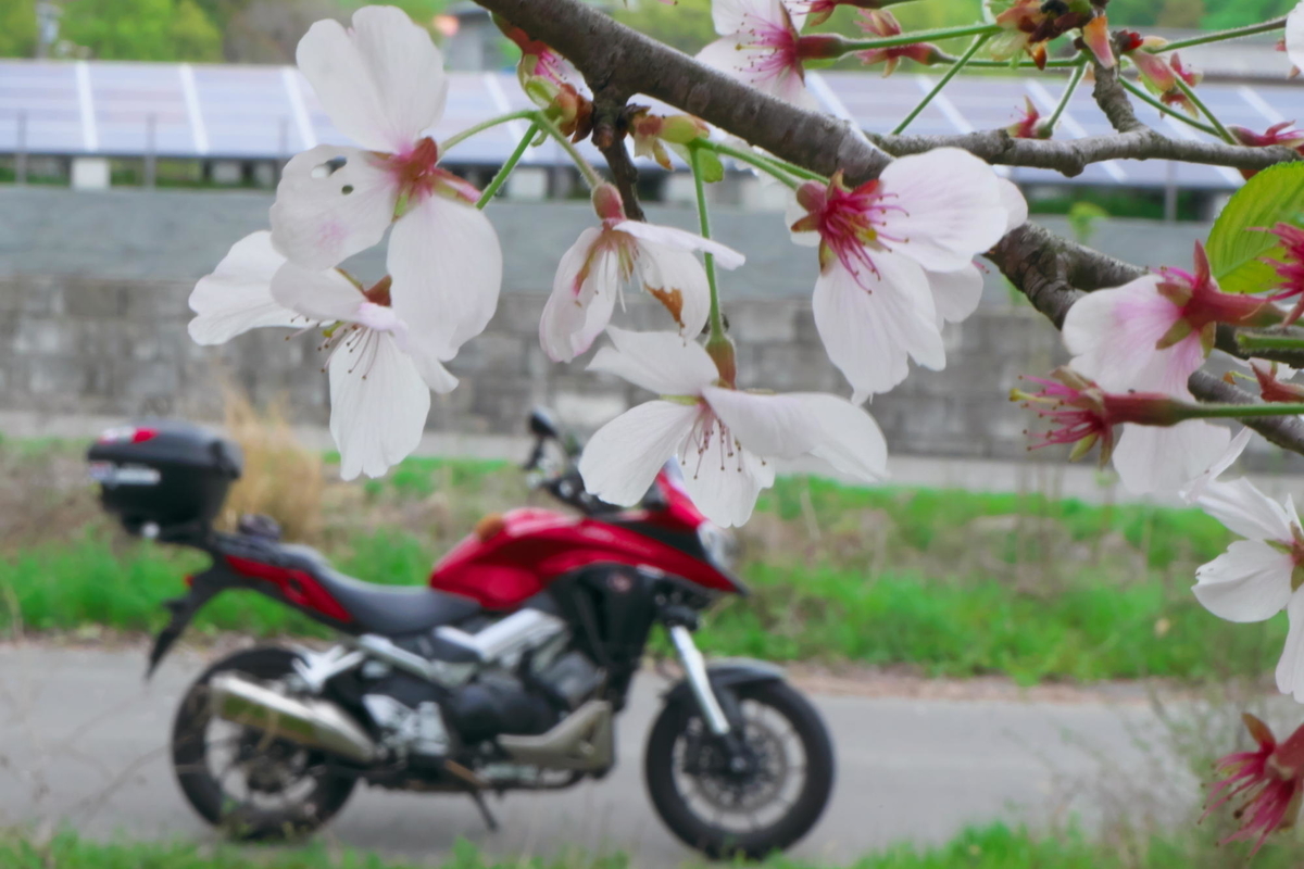 f:id:gan_jiro:20210404083234j:plain