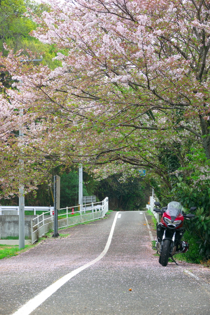 f:id:gan_jiro:20210404084410j:plain