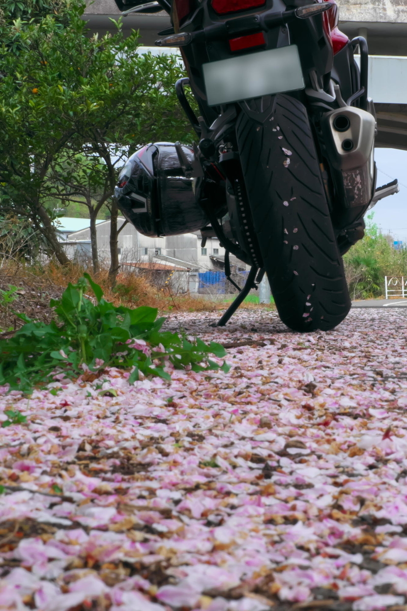 f:id:gan_jiro:20210404084422j:plain