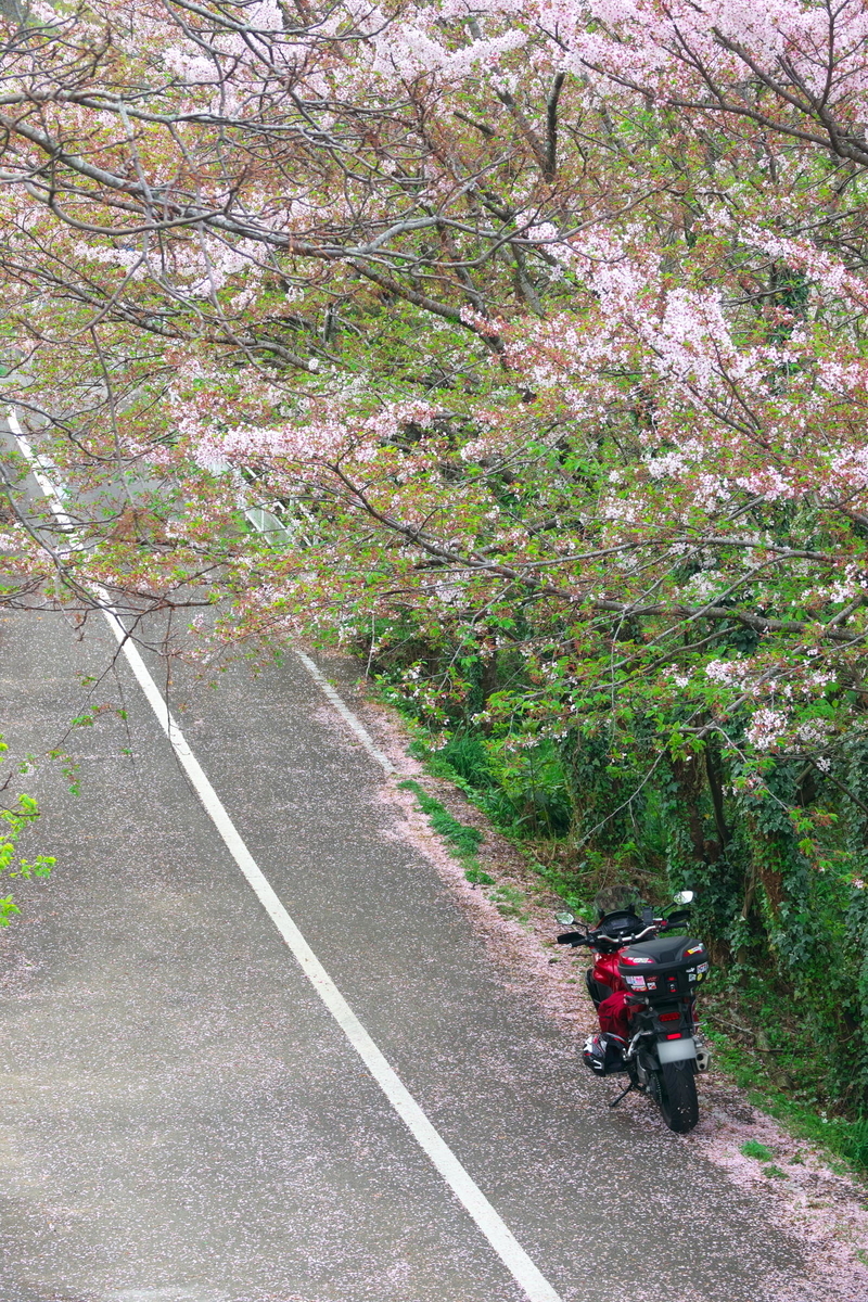 f:id:gan_jiro:20210404085041j:plain