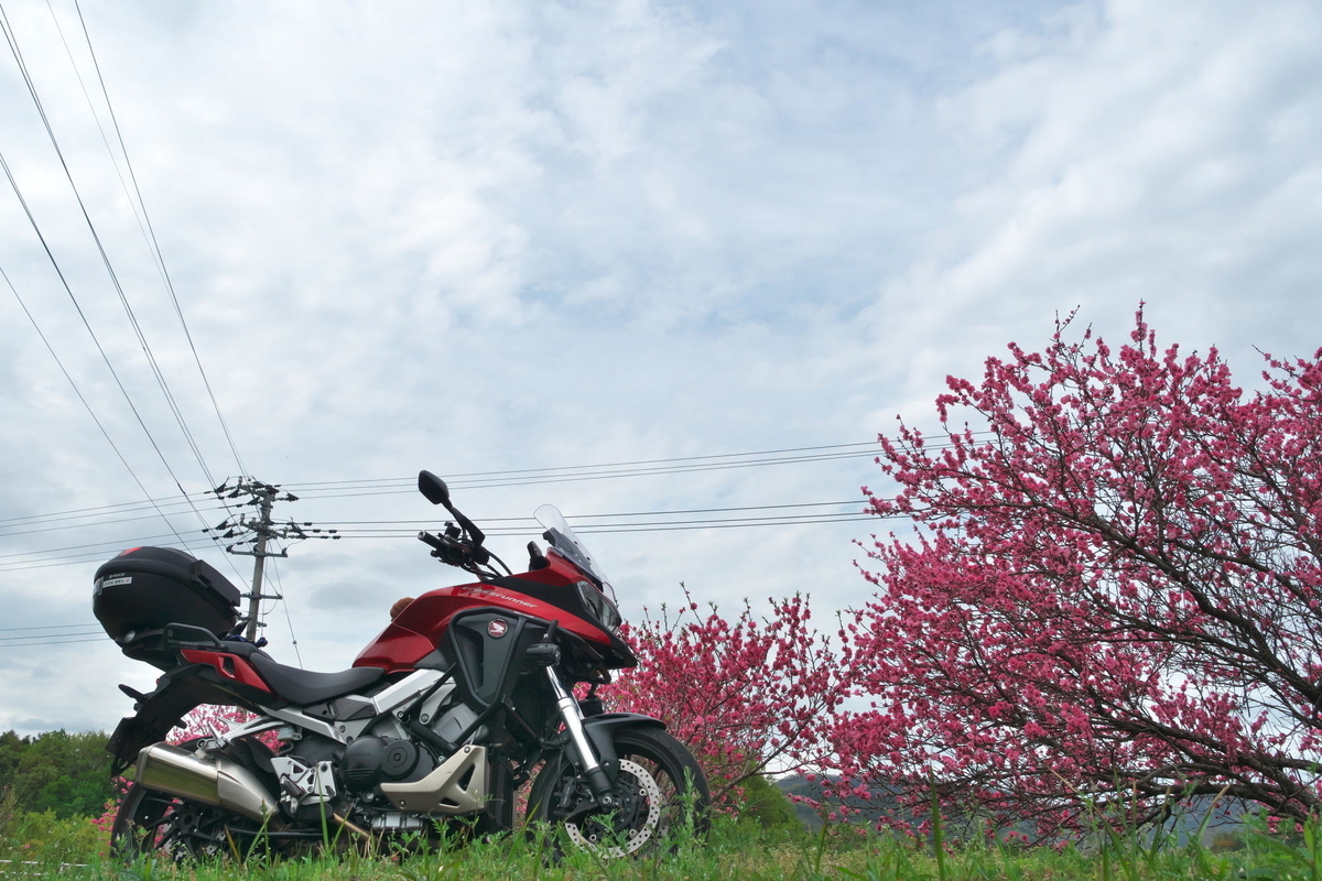 f:id:gan_jiro:20210404093030j:plain