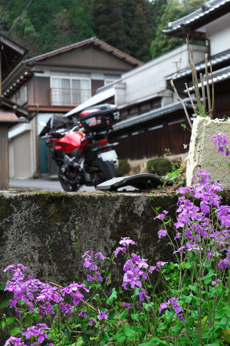 f:id:gan_jiro:20210404102316j:plain