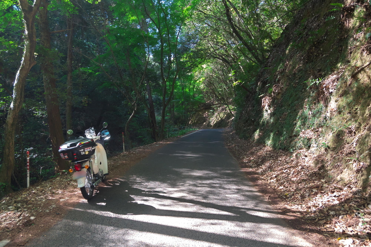 f:id:gan_jiro:20210420090514j:plain