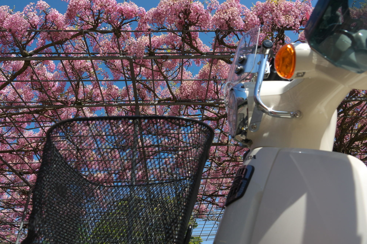 f:id:gan_jiro:20210420091718j:plain