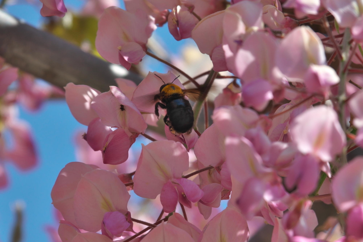 f:id:gan_jiro:20210420091829j:plain