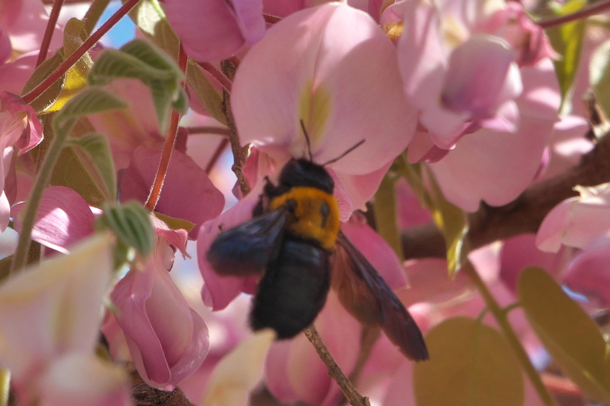 f:id:gan_jiro:20210420091857j:plain