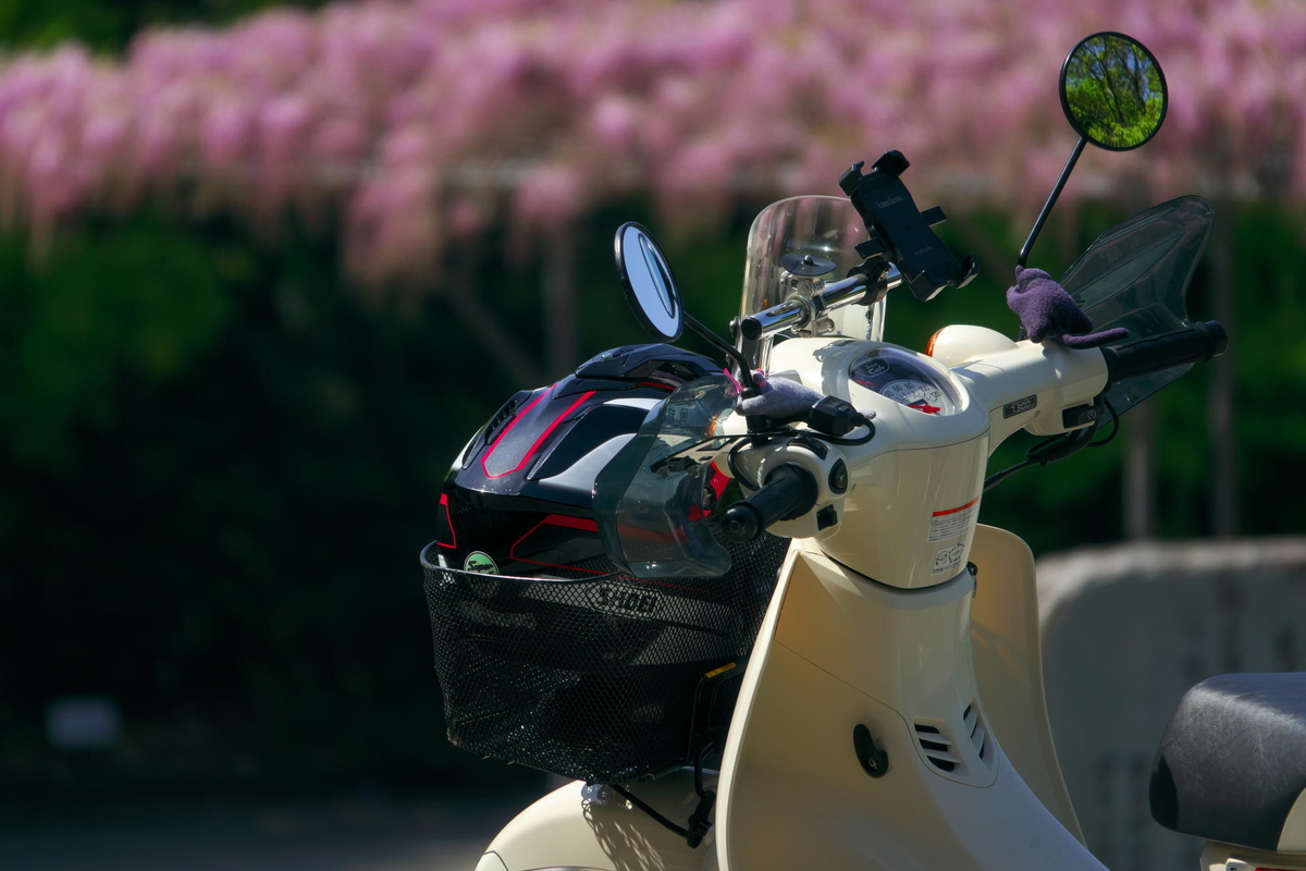 f:id:gan_jiro:20210420092602j:plain