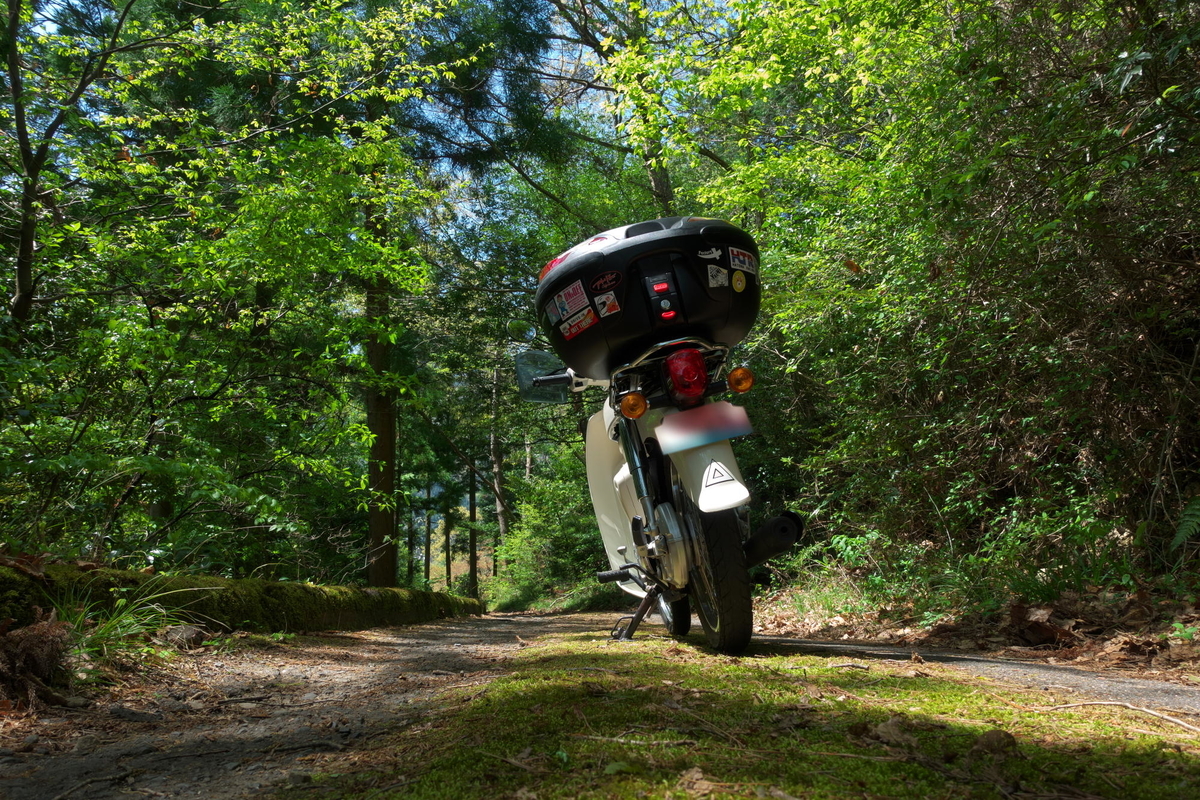 f:id:gan_jiro:20210420111037j:plain