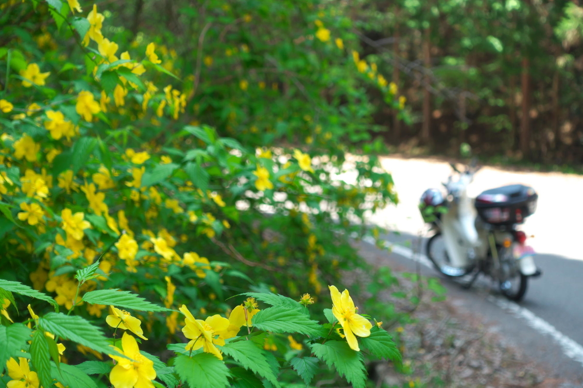 f:id:gan_jiro:20210420115137j:plain