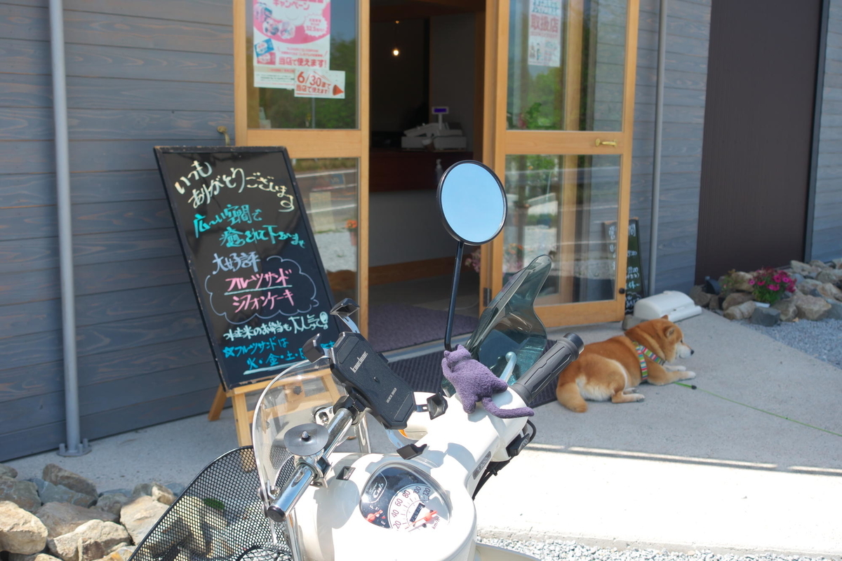 f:id:gan_jiro:20210420130844j:plain